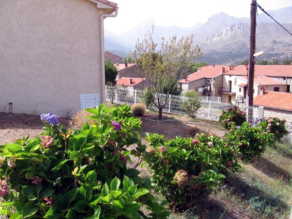 Villa Terrasse De Malbeccu Casamaccioli Habitación foto